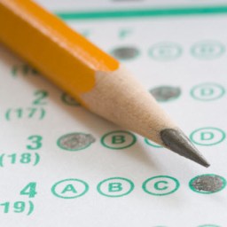 My Dream Standardized Tests